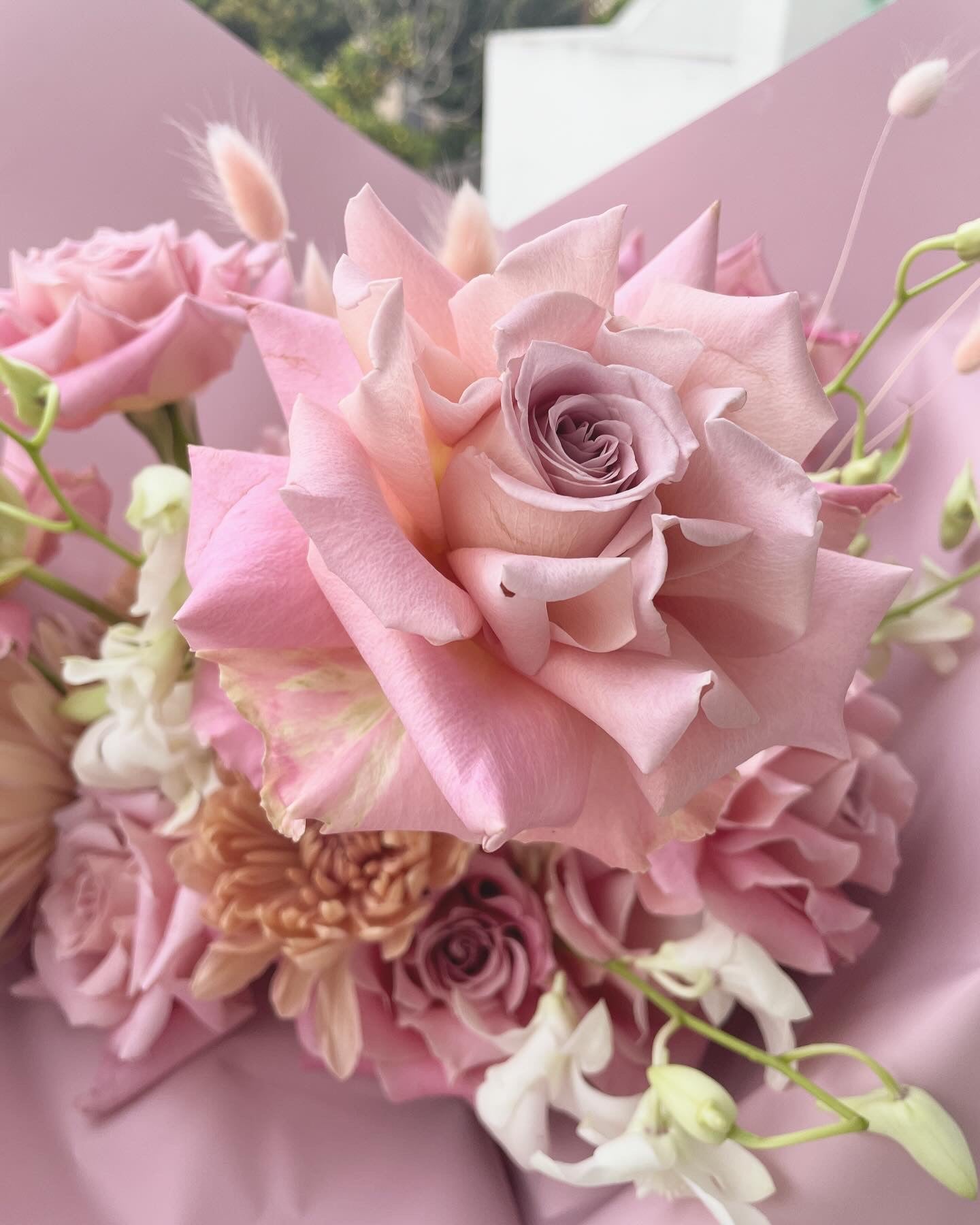 Beautiful in Every Way